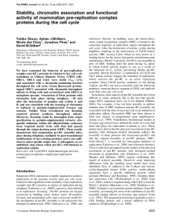 Stability, chromatin association and functional
