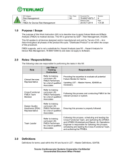 Appendix B &ndash; Guidance for an FMEA Effort