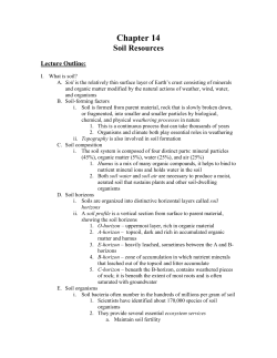 chapter 14 outline