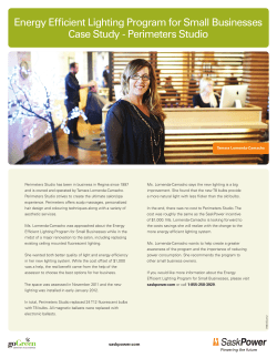 Energy Efficient Lighting Program for Small Businesses Case Study