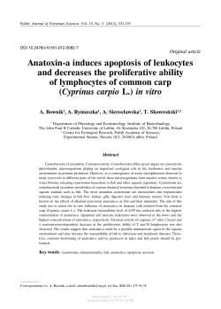 Anatoxin-a induces apoptosis of leukocytes and decreases the