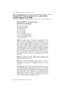 The real SAP&reg; Business One cost: a case study of ERP