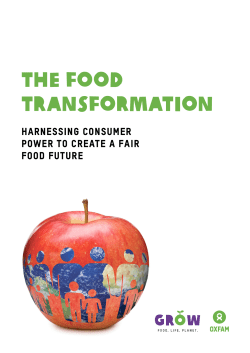 THE FOOD Transformation