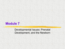 Cognitive Development