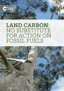 Land carbon: No substitute for action on fossil fuels