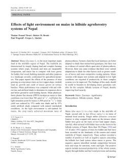 Effects of light environment on maize in hillside agroforestry systems