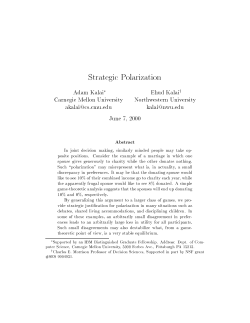 Strategic Polarization