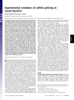 Experimental evolution of selfish policing in social bacteria