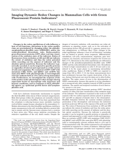 Imaging Dynamic Redox Changes in Mammalian Cells