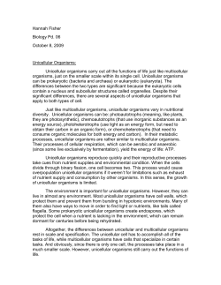 Hannah Fisher Biology Pd. 06 October 8, 2009 Unicellular