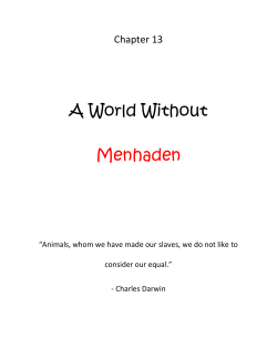 Chapter 13 A World Without Menhaden &ldquo;Animals, whom we have