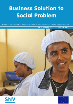 Business solution to social problem PDF
