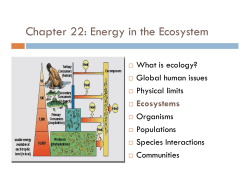 Chapter 22: Energy in the Ecosystem p gy y