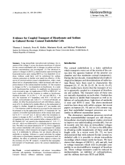 Evidence for coupled transport of bicarbonate and