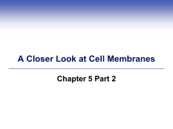 Exocytosis and Endocytosis Exocytosis