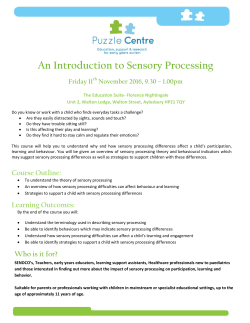 An Introduction to Sensory Processing