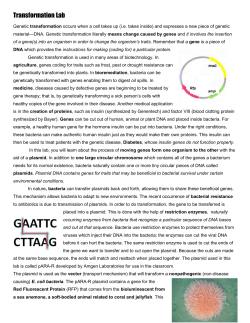 Fluorescent Protein Transformation Student Background
