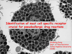 Identification of mast cell specific receptor crucial for
