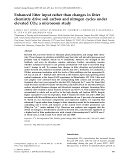 Enhanced litter input rather than changes in litter