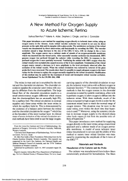 A new method for oxygen supply to acute ischemic retina.