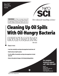 Cleaning Up Oil Spills With Oil-Hungry Bacteria