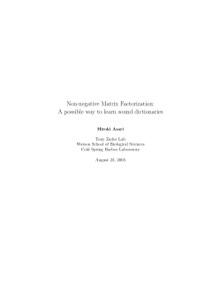 Non-negative Matrix Factorization: A possible way
