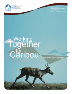 04 GN Caribou Strategy - Nunavut Planning Commission
