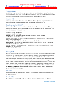 Fantastic News Summer Fair Holiday Club Nut Free Tennis Balls