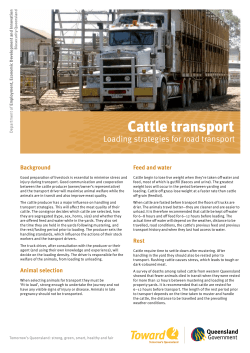 Cattle transport-Loading strategies for road transport