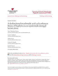 lactam stress. - DigitalCommons@UNMC