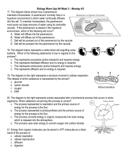 Biology Warm Ups N4 Week 3