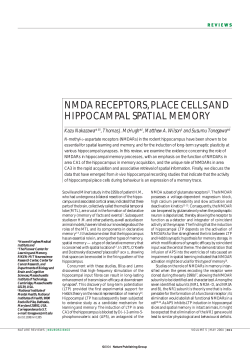 nmda receptors, place cells and hippocampal spatial memory