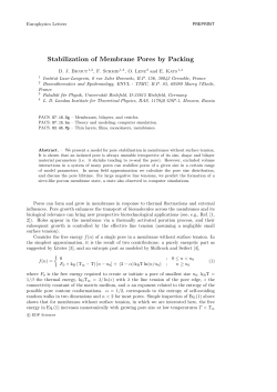 Stabilization of Membrane Pores by Packing