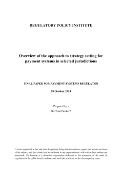 Overview of the approach to strategy setting for payment systems in