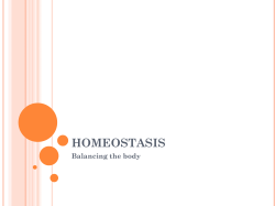 Homeostasis