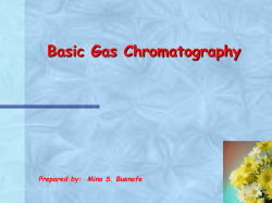 Basic Gas Chromatography Prepared by