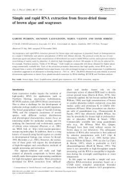Simple and rapid RNA extraction from freeze