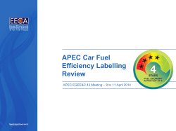 APEC Car Fuel Efficiency Labelling Review