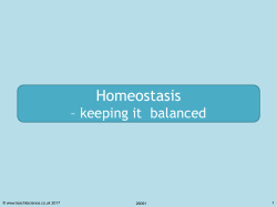 26091 homestasis