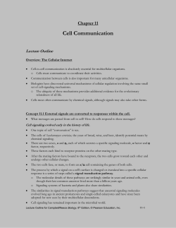 chapter 11 cell communication