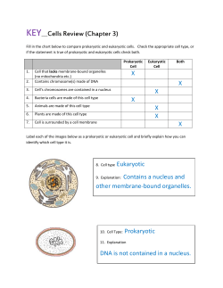 Cell Review Key - Mercer Island School District