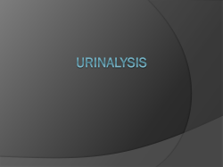 Chapter 16: Urinary