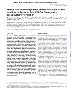Kinetic and thermodynamic characterization of the reaction pathway
