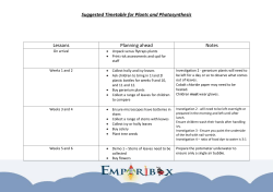 Suggested Timetable for Plants and Photosynthesis