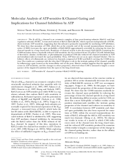 Molecular Analysis of ATP-sensitive K Channel