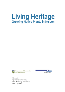 Living Heritage &ndash; Growing Native Plants in Nelson