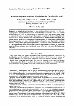 Rate-limiting Steps in Folate Metabolism by