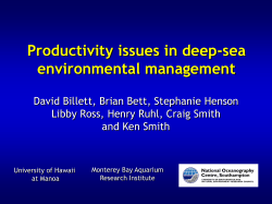 Mean primary production