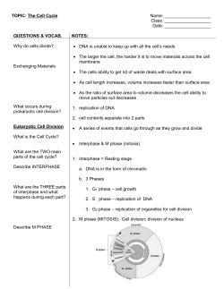 Cornell Notes Template