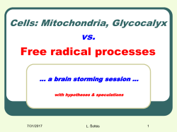Cells: Mitochondria, Glycocalyx vs.